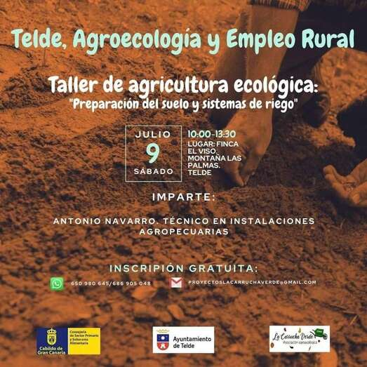 Cartel de la actividad/TA.